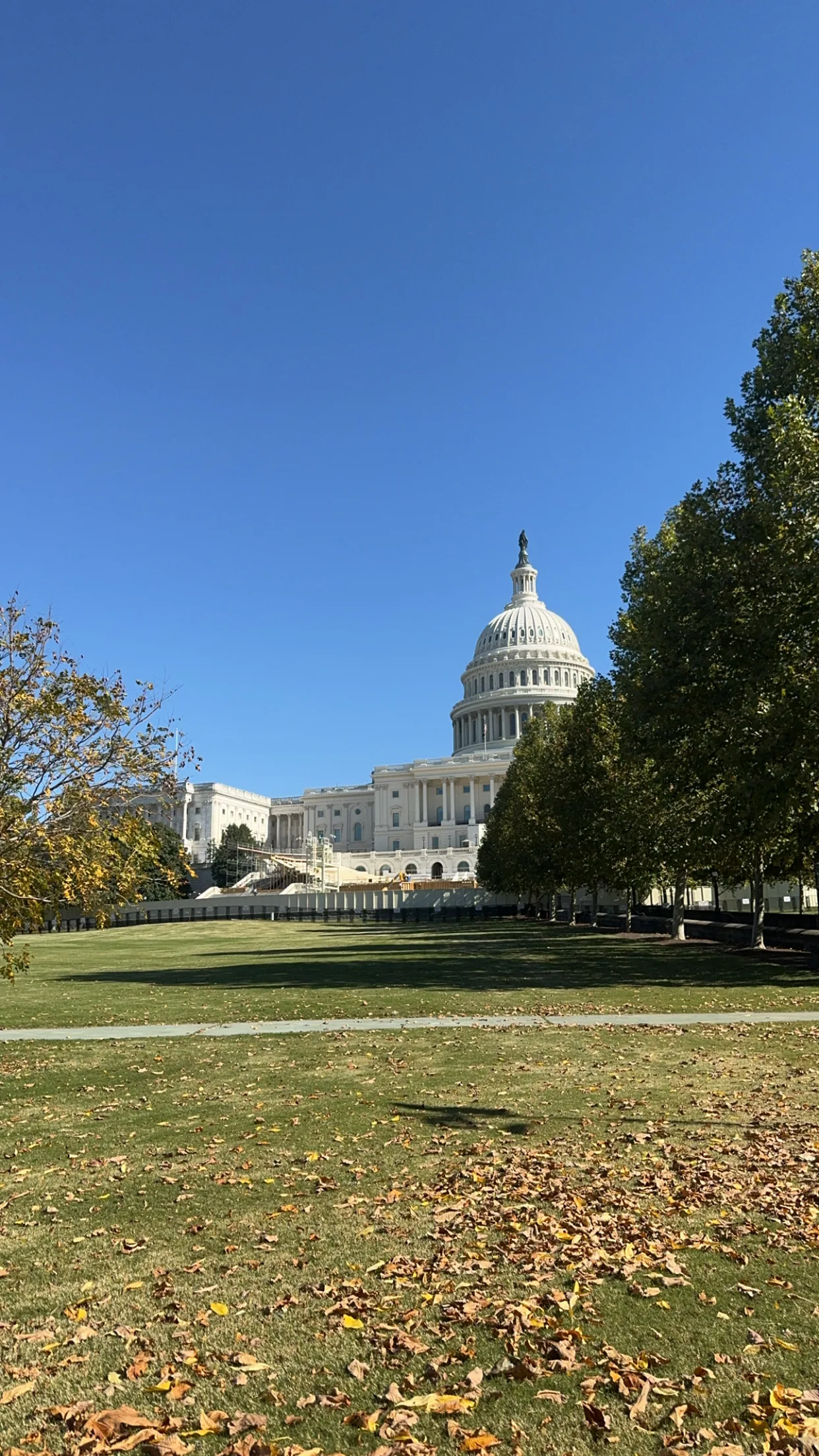 Political Science - Discussion Post 3