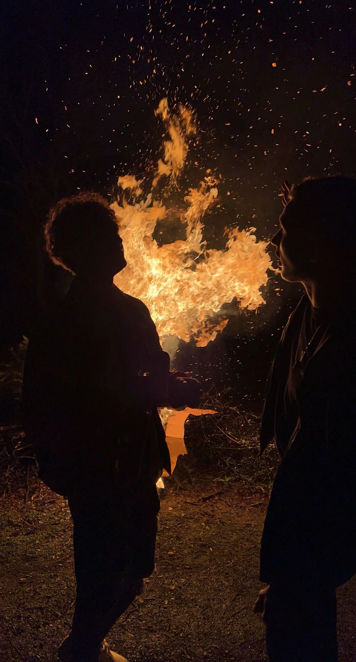 Curiosity for the world and its stories